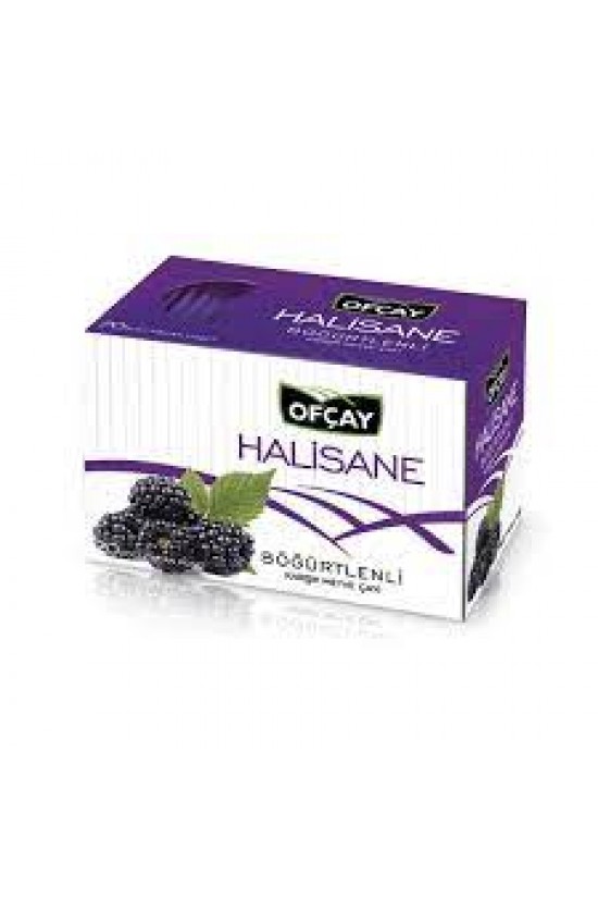 OFÇAY HALİSANE BÖĞÜRTLEN (40Gr.x12)