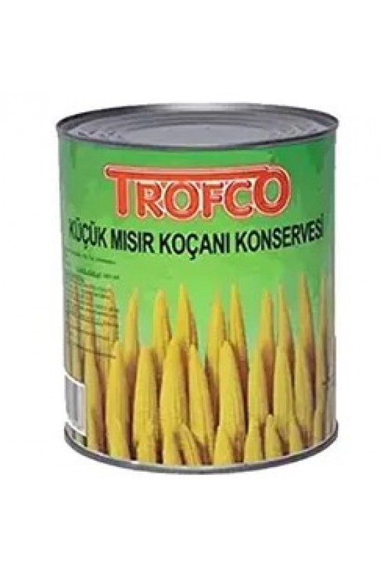 TROFCO MISIR KOÇANI  (425Gr.x24)